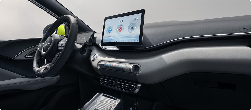 BYD DOLPHIN SURF Boost